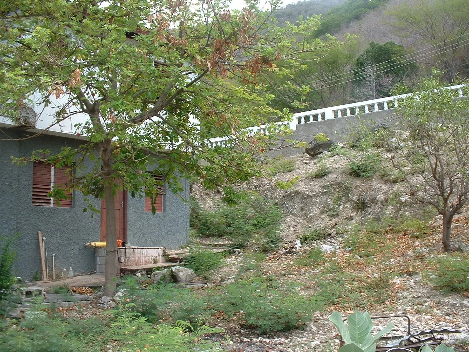 HILL SIDE.JPG