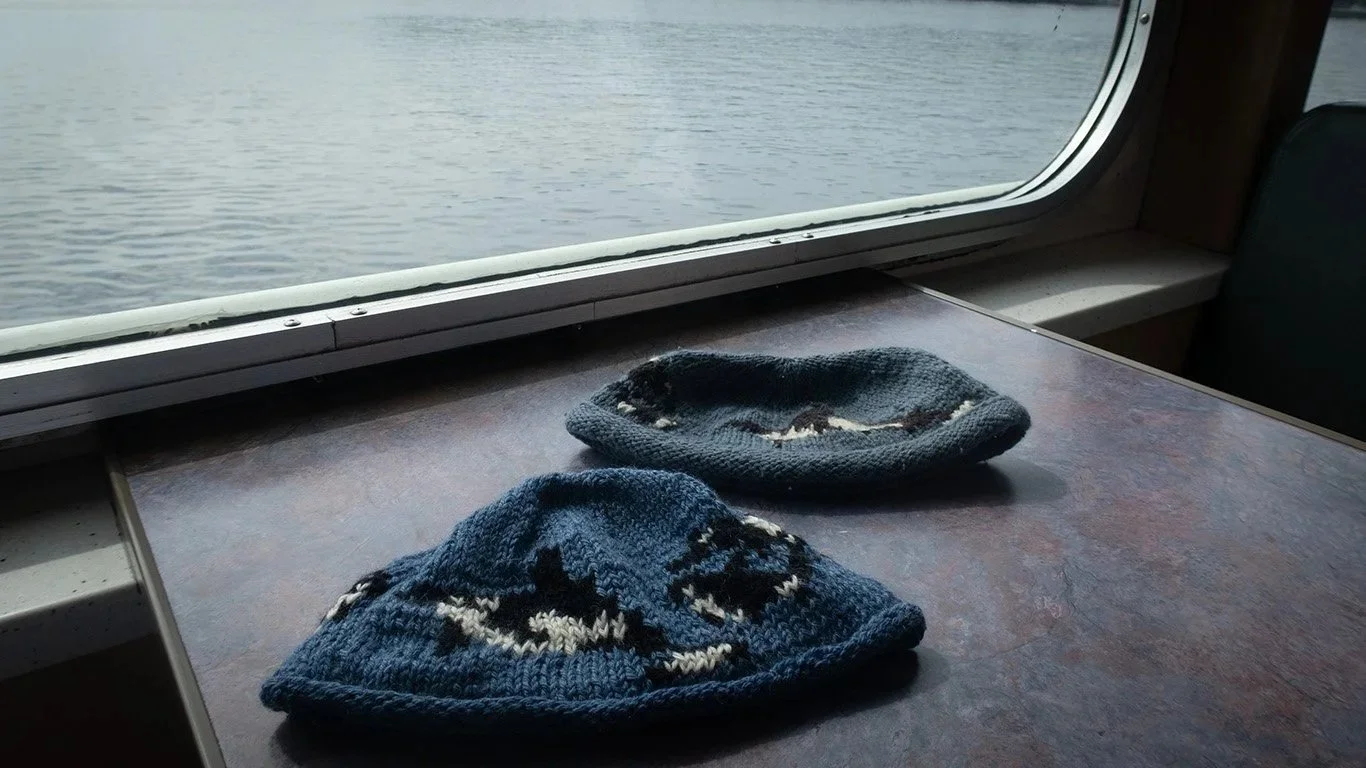 orca beanie