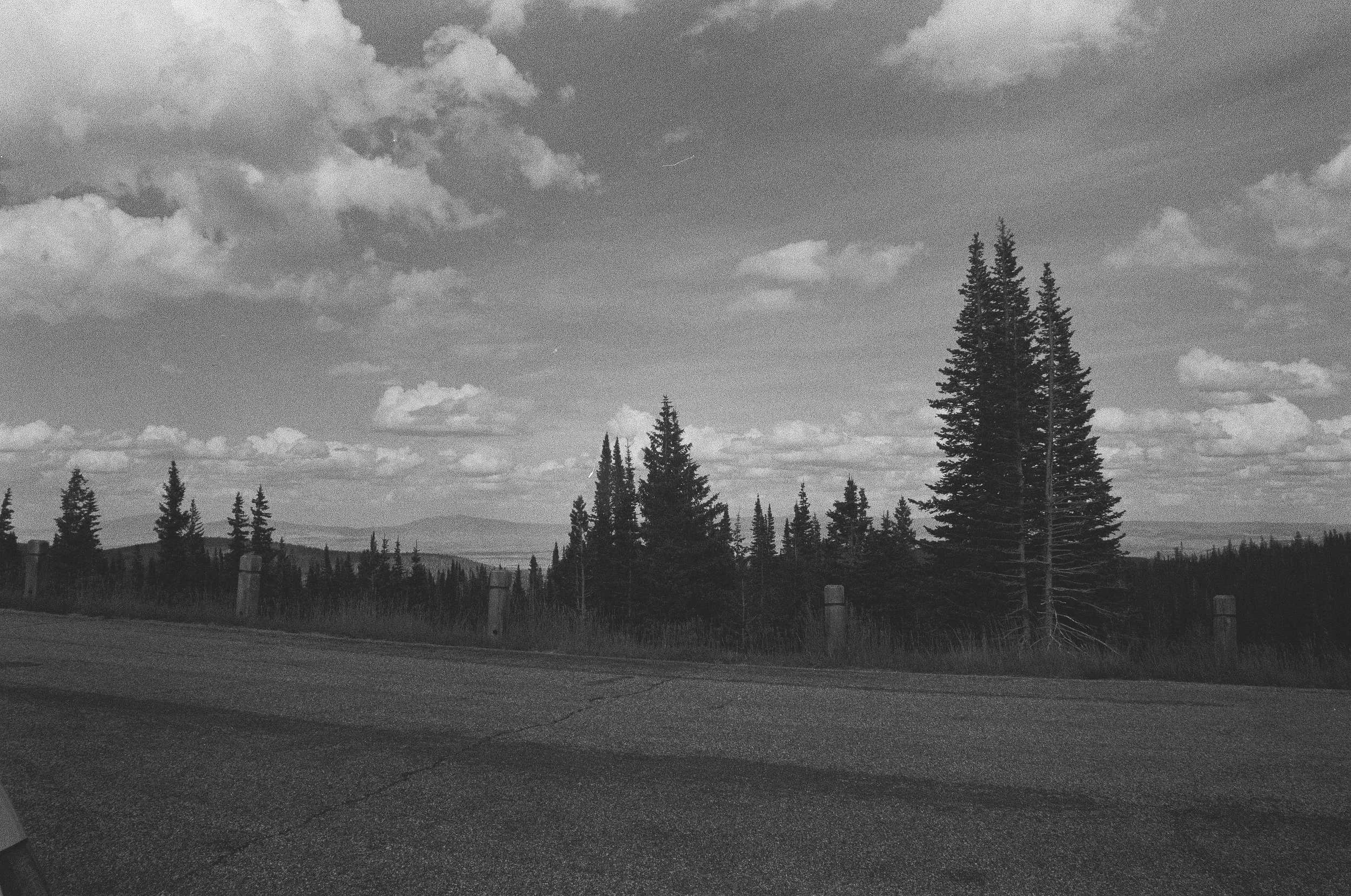 Scan147496.jpg