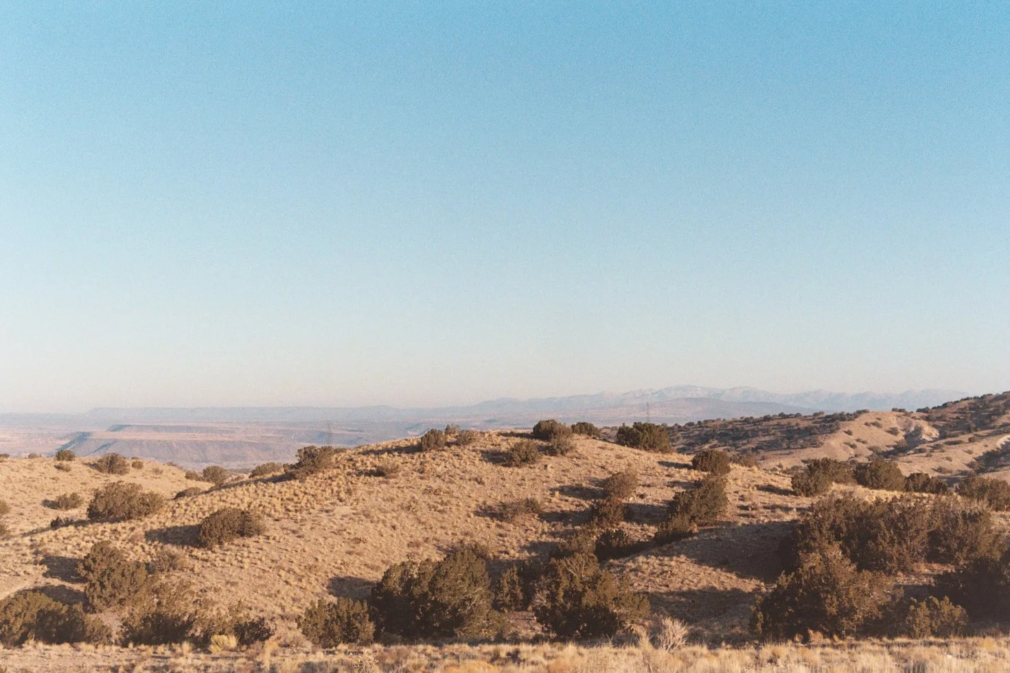WongAA035.jpg