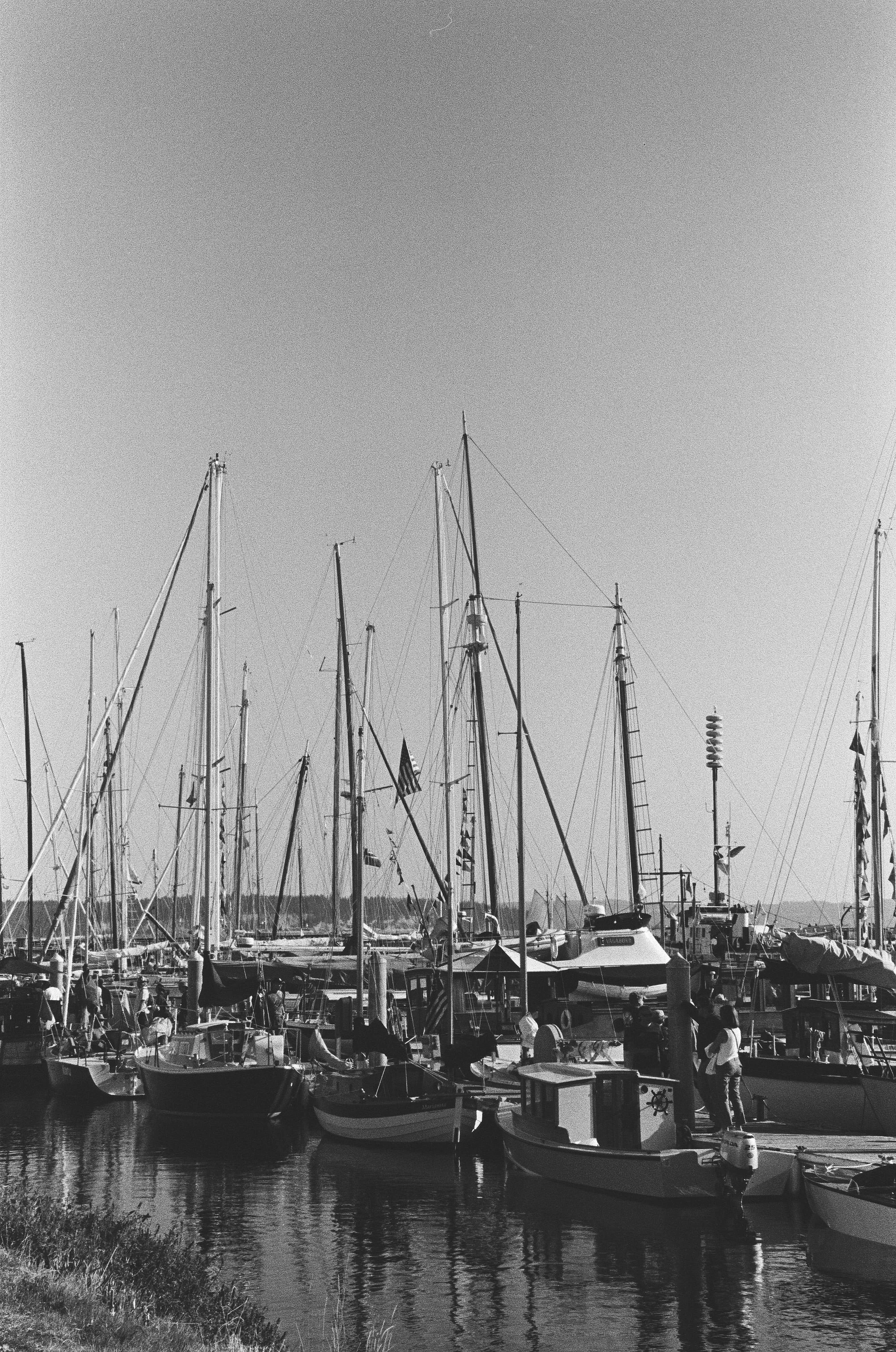 Scan147420.jpg