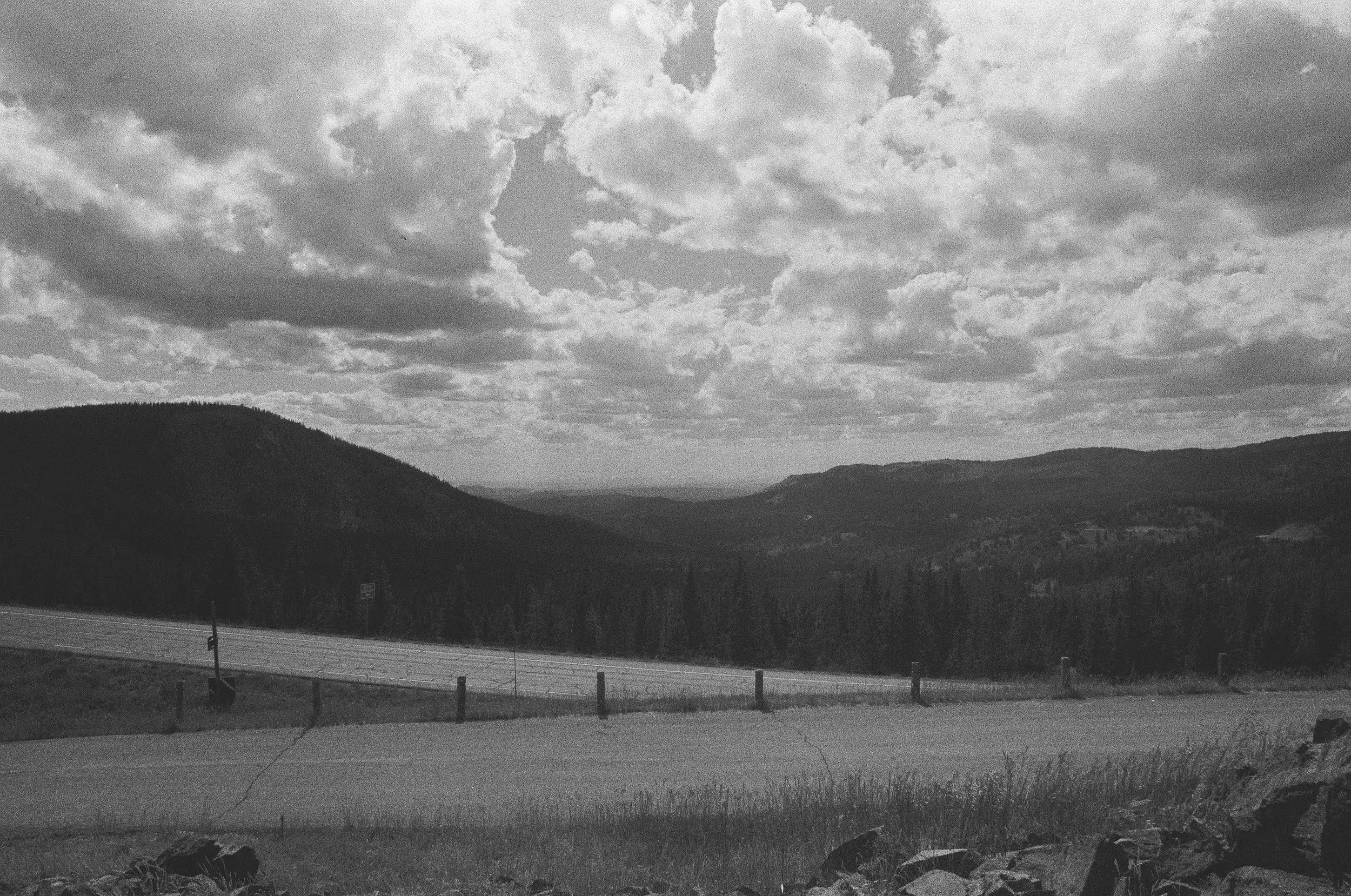 Scan147495.jpg