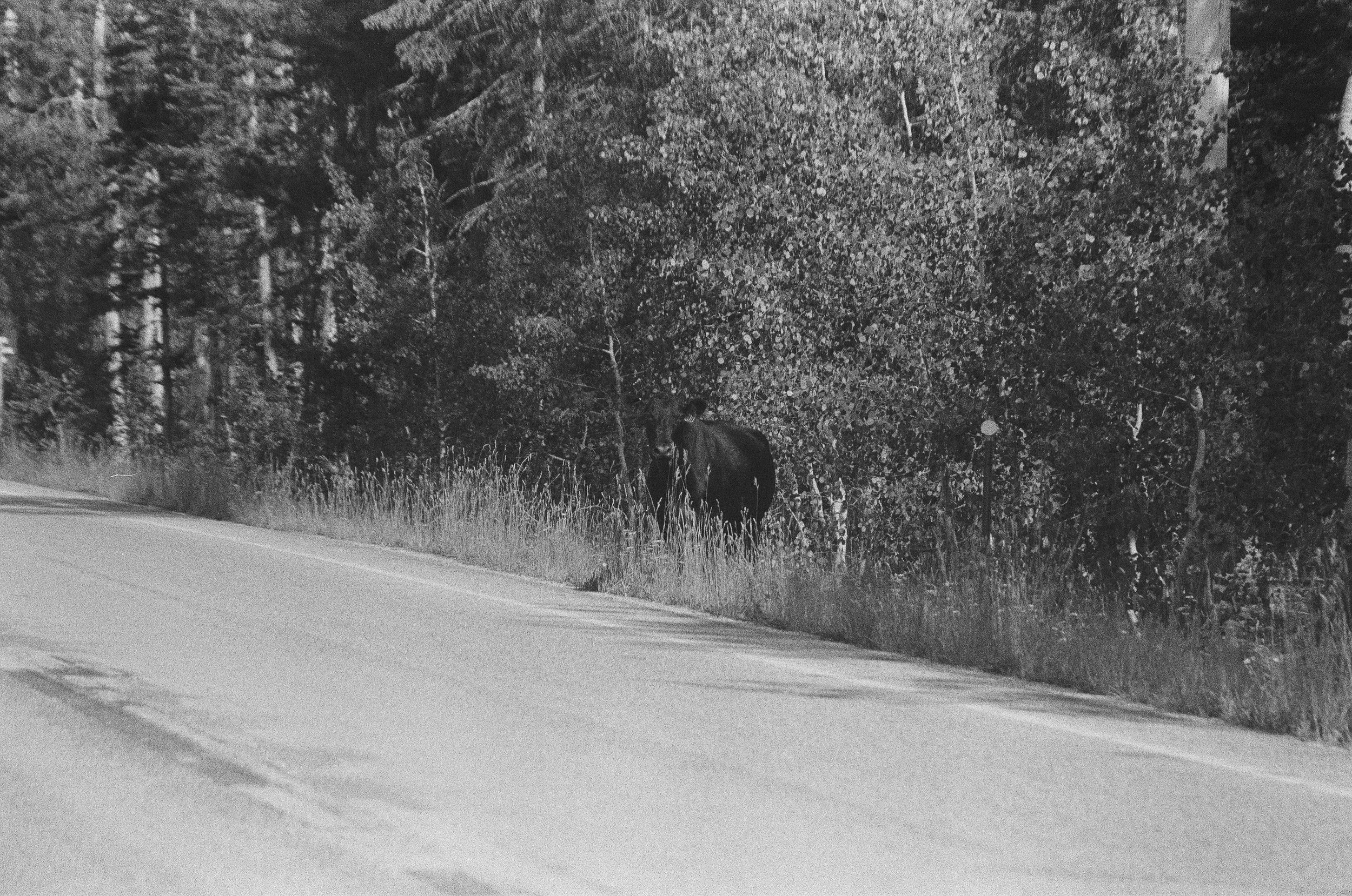 Scan147497.jpg