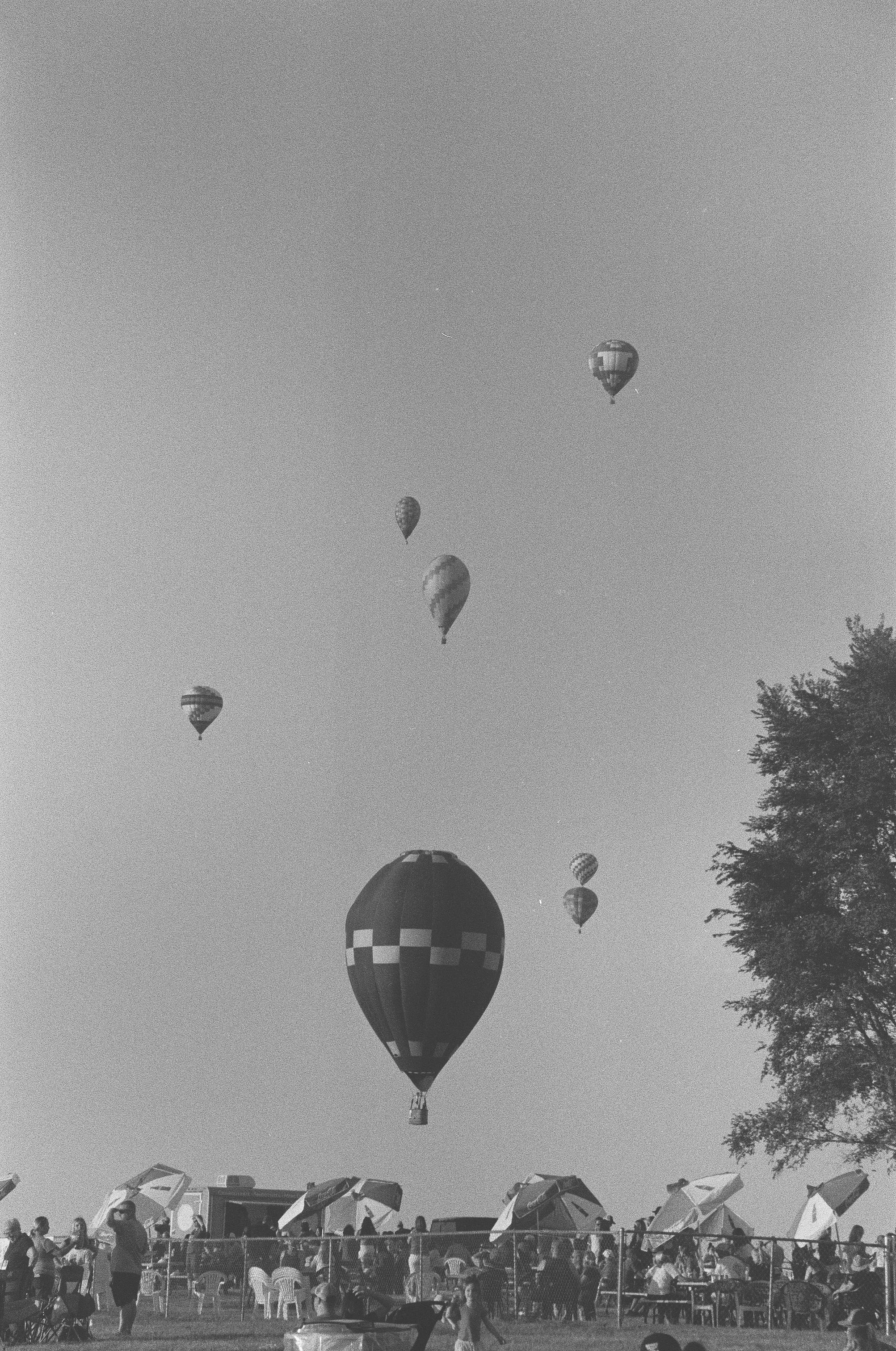 Scan147483.jpg