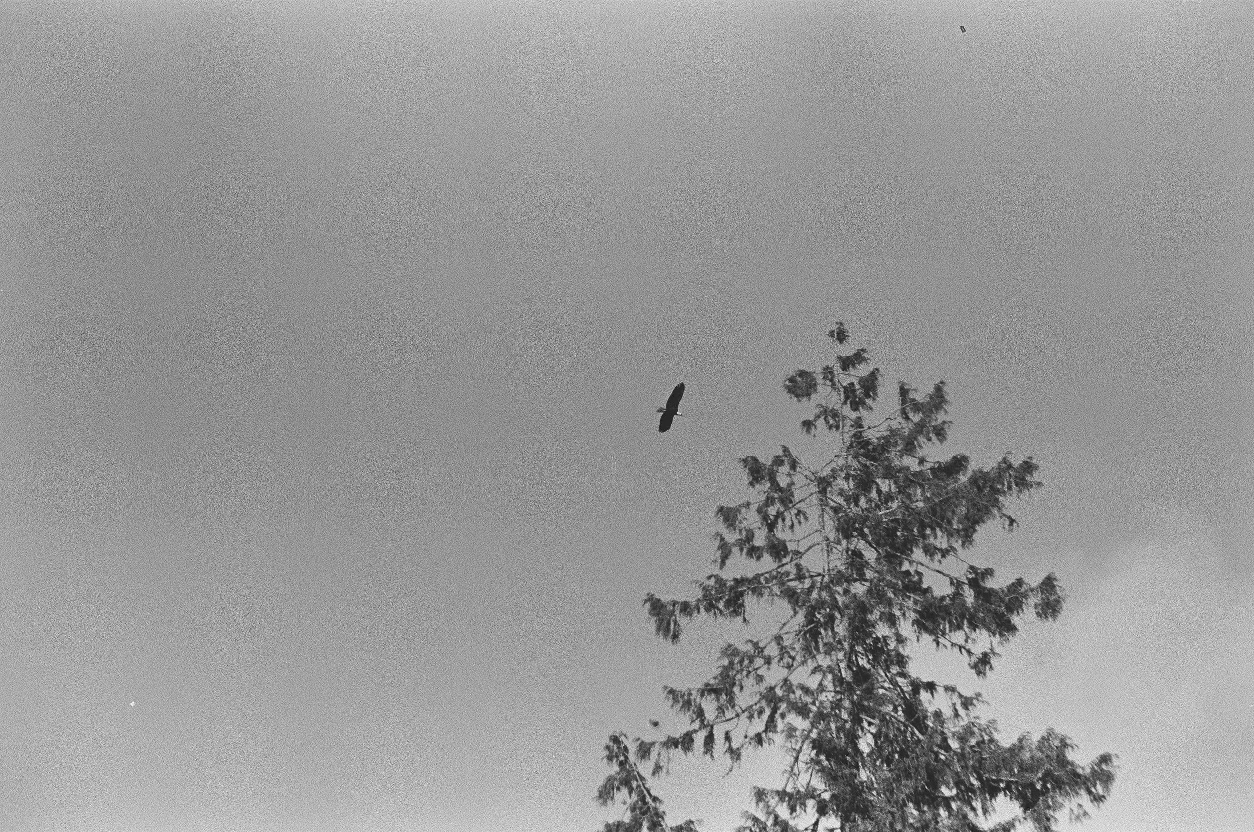 Scan147428.jpg