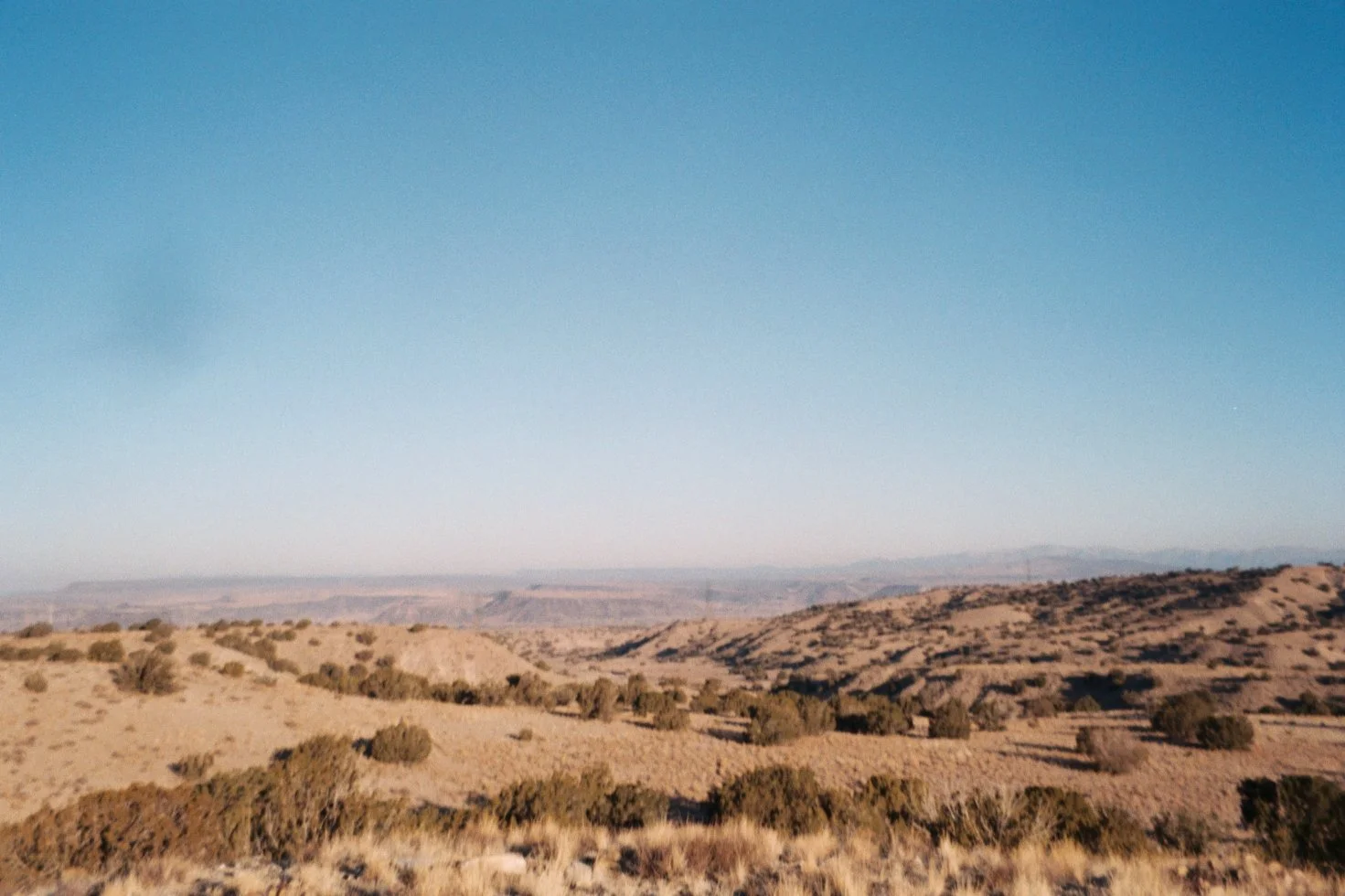 WongAA009 2.jpg
