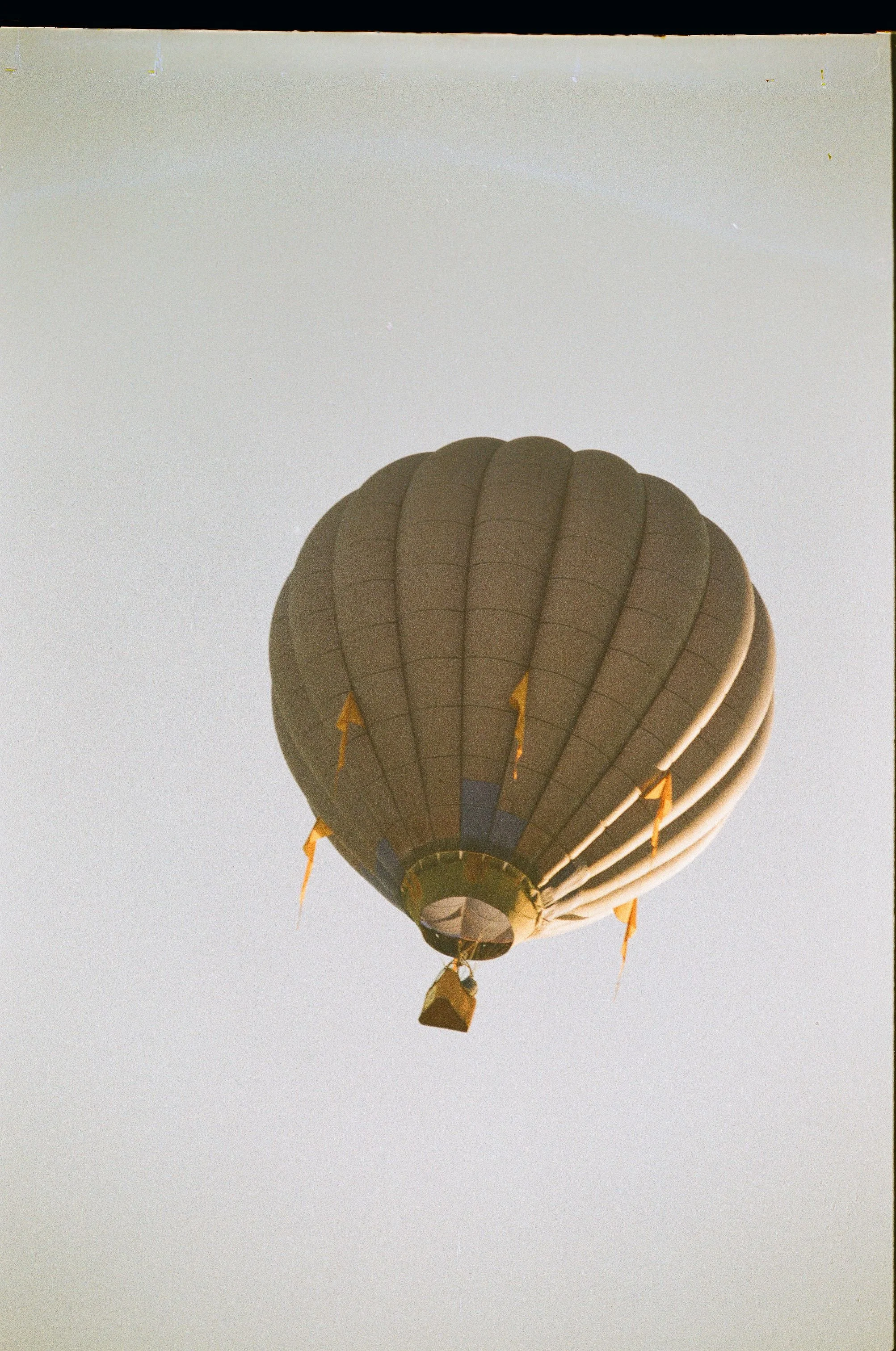 Scan146531.jpg