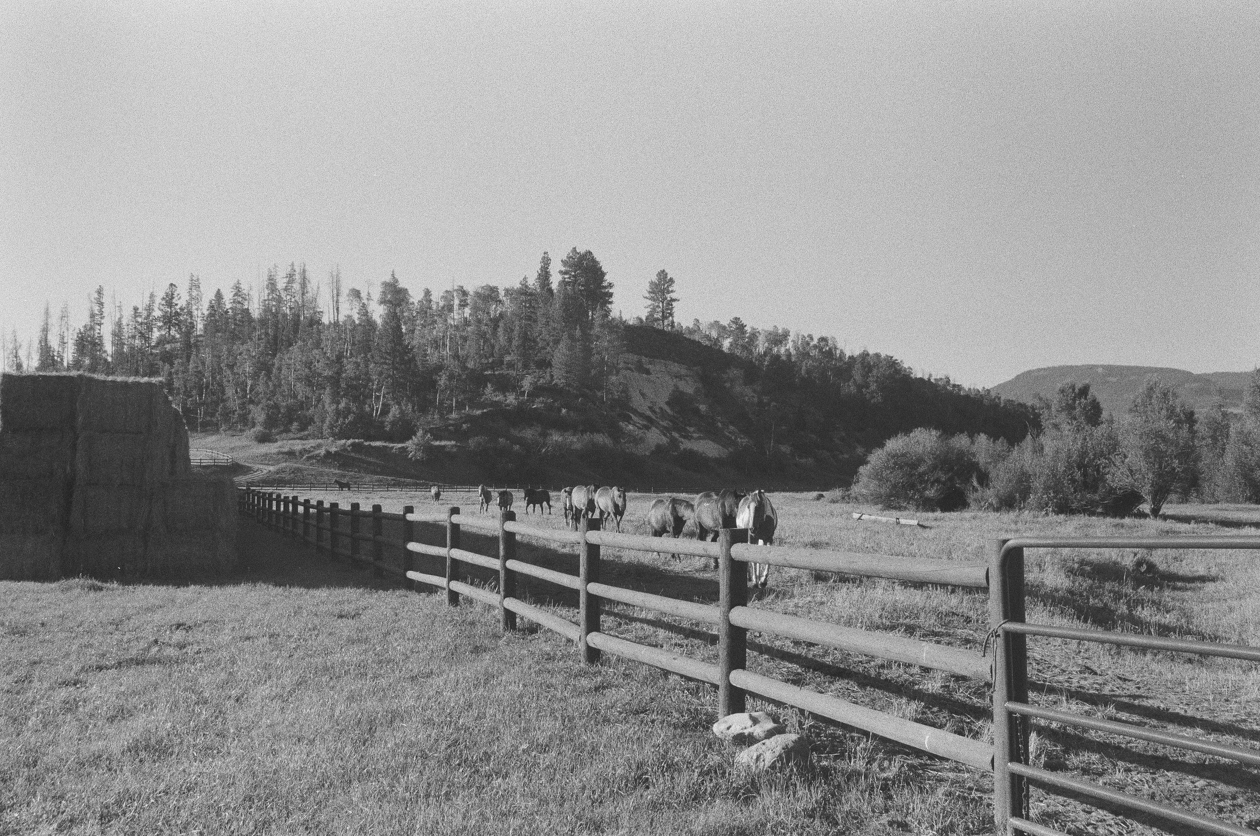 Scan147502.jpg