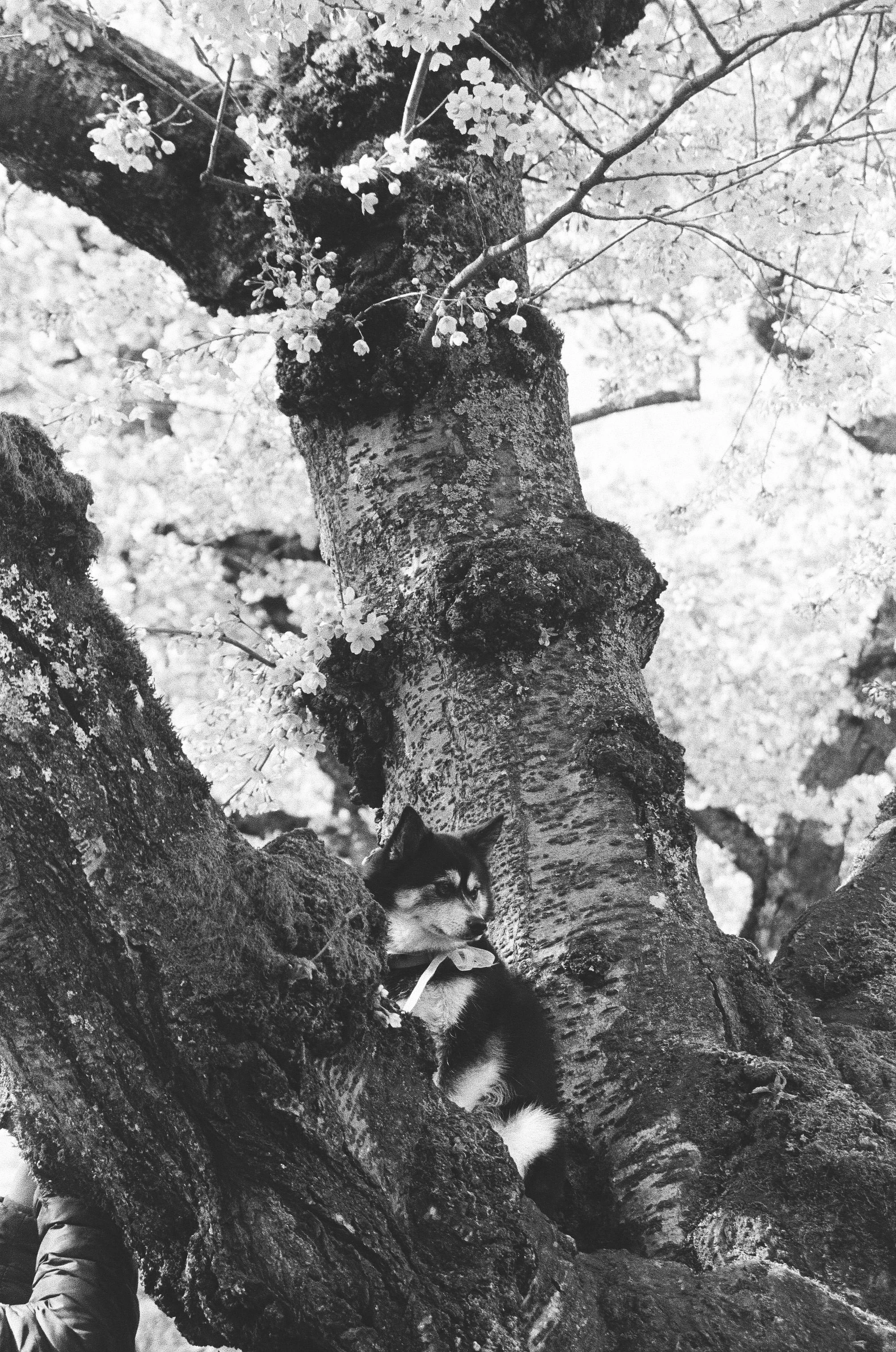 Scan147436.jpg