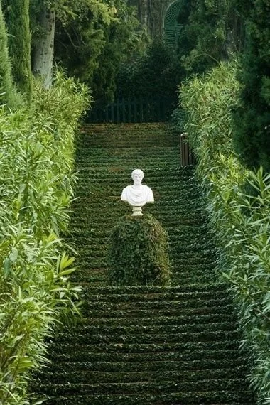 steps.jpg