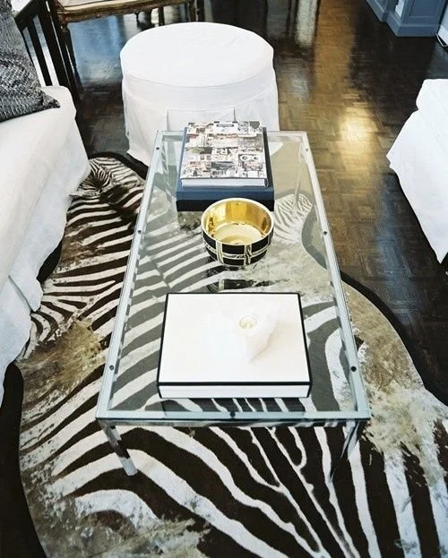 zebra.jpg