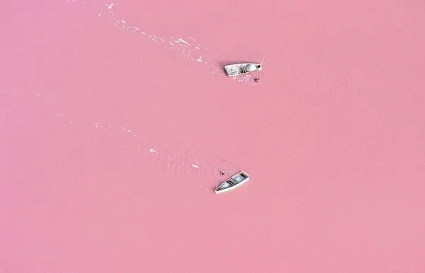 pink.jpg