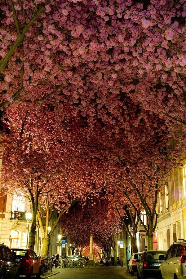 overhang.jpg