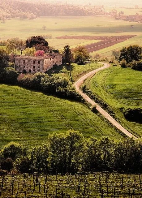 tuscany_hills.jpg