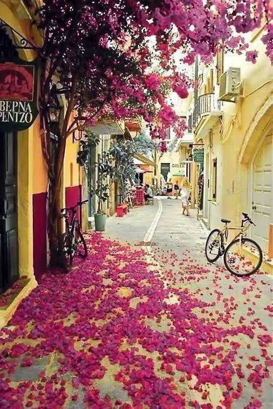 flowers.jpg