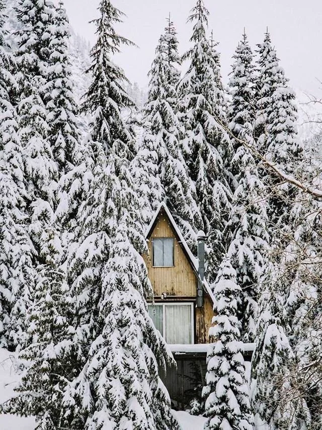 chalet.jpg