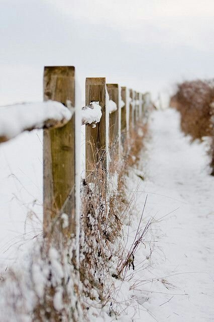 fence.jpg
