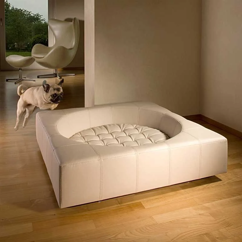 Pet Luxe: Sleek Modern Beds They'll Love...