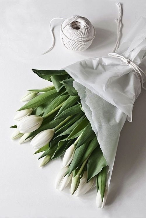 tuliops.jpg