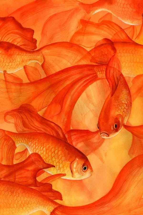 fish.jpg