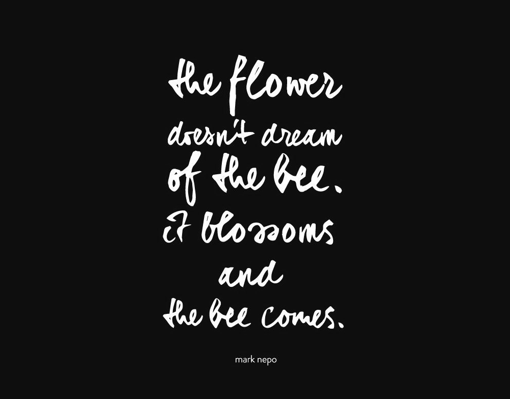 Musings: On Focusing On Yourself....