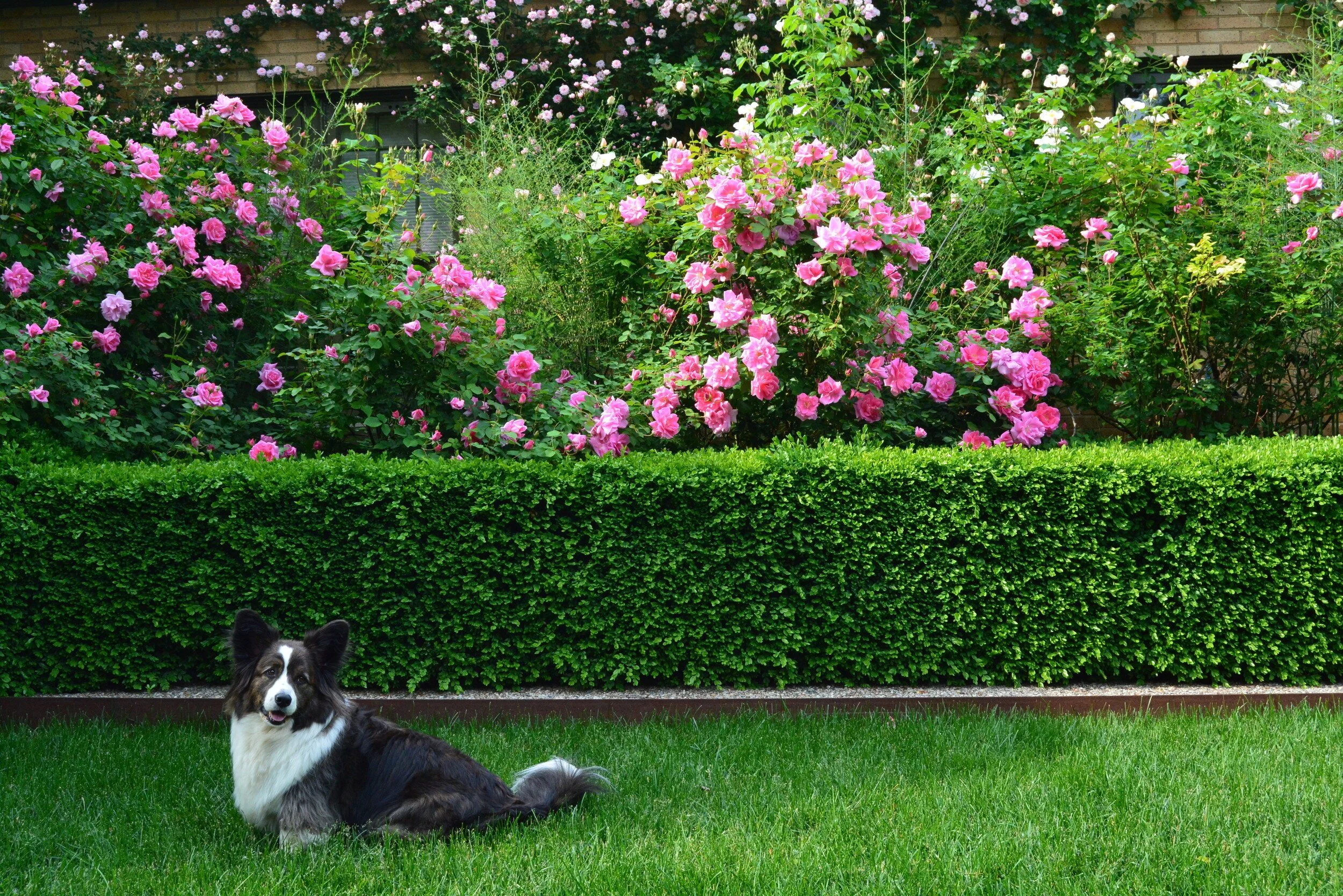Outdoor Glamour: Lessons From the Garden...