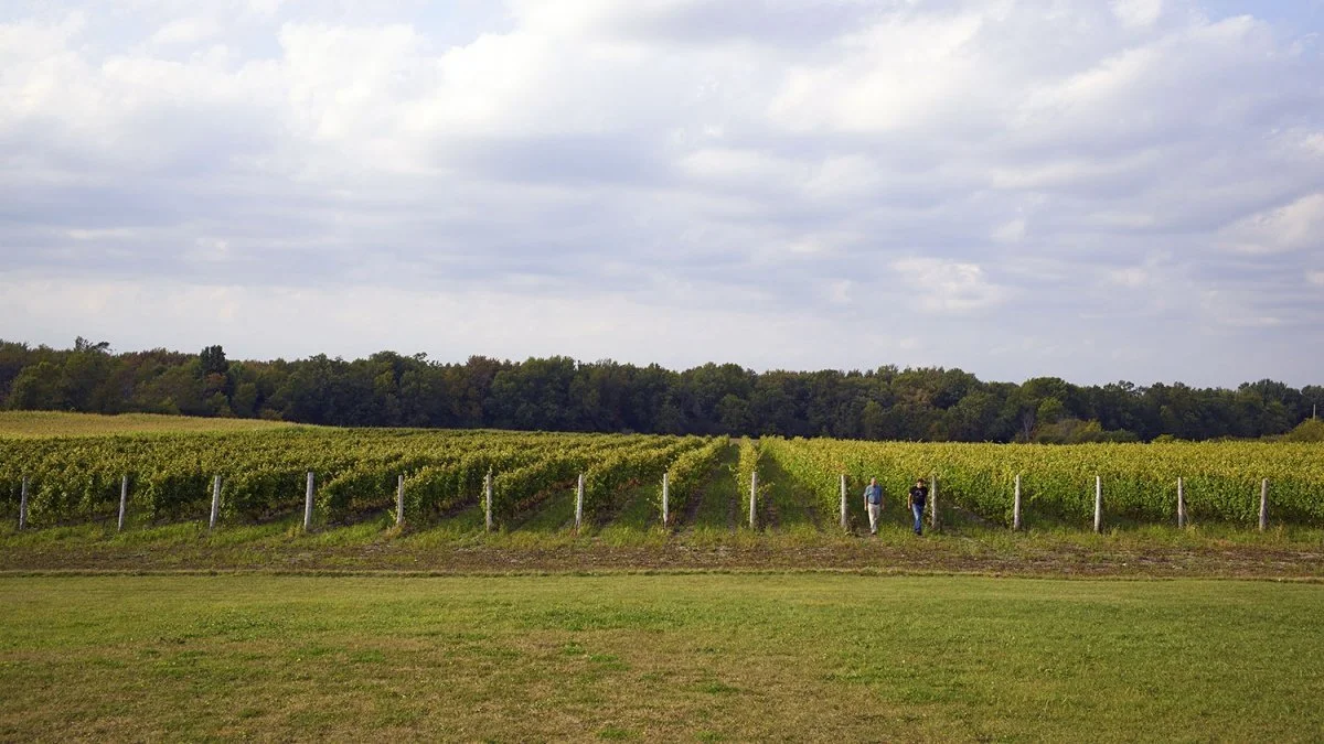 09_edward_140920_tl_0938.jpg