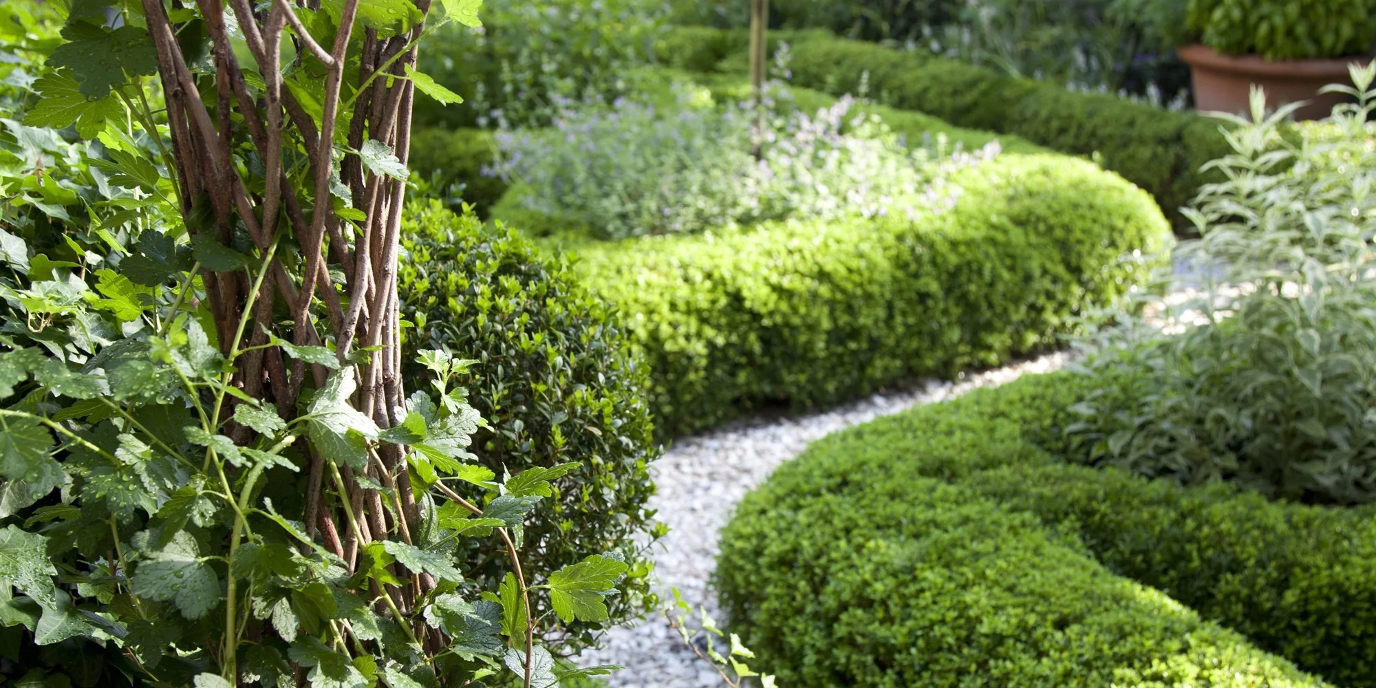 country-garden-path-index-image.jpg