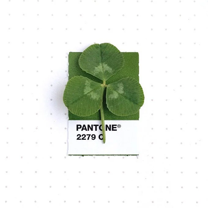 pantone-matching-system-everyday-objects-tiny-pms-project-inka-mathews-houston-texas-1-1.jpg