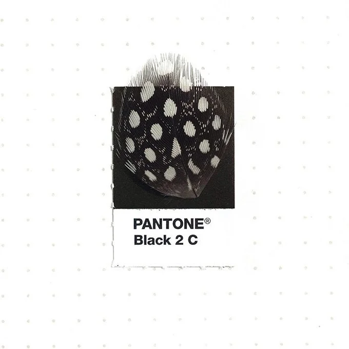 pantone-matching-system-everyday-objects-tiny-pms-project-inka-mathews-houston-texas-20.jpg