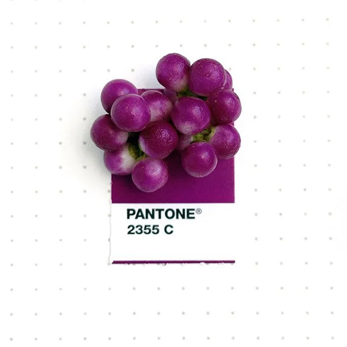 pantone-matching-system-everyday-objects-tiny-pms-project-inka-mathews-houston-texas-2.jpg