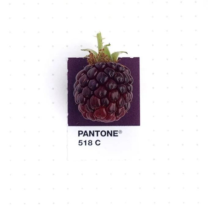 pantone-matching-system-everyday-objects-tiny-pms-project-inka-mathews-houston-texas-14.jpg