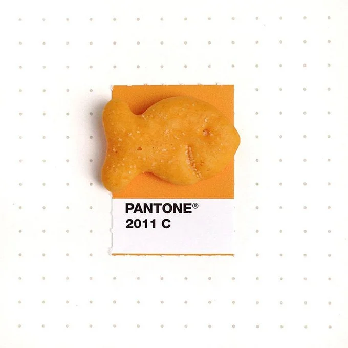 pantone-matching-system-everyday-objects-tiny-pms-project-inka-mathews-houston-texas-5.jpg