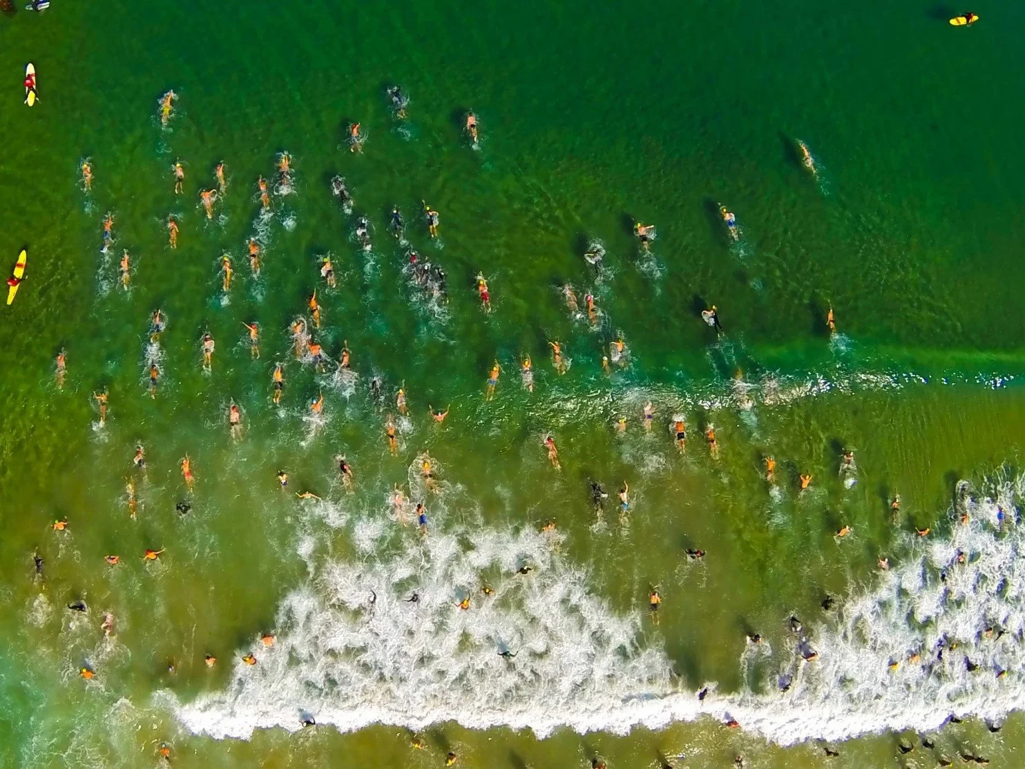 swimmers.jpg
