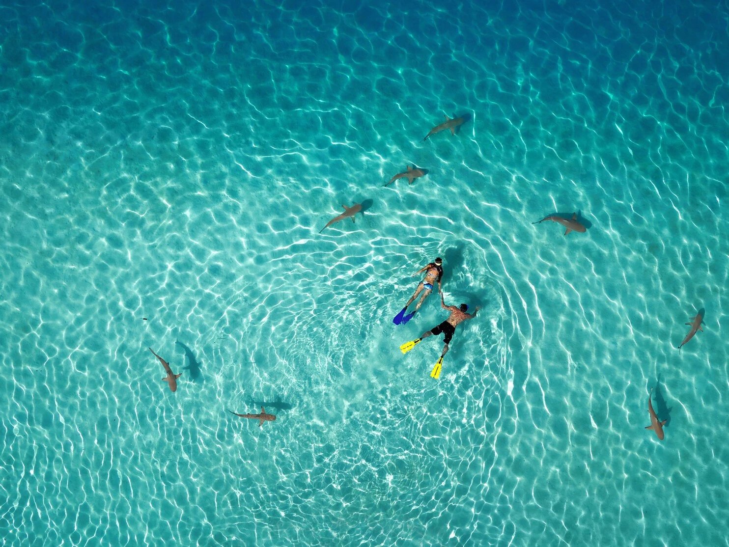 Visual Poetry: Dronestagram Winners Will Take Your Breath Away...