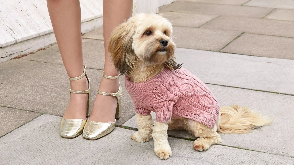 Pet Luxe: Posh Fashion for Fido...
