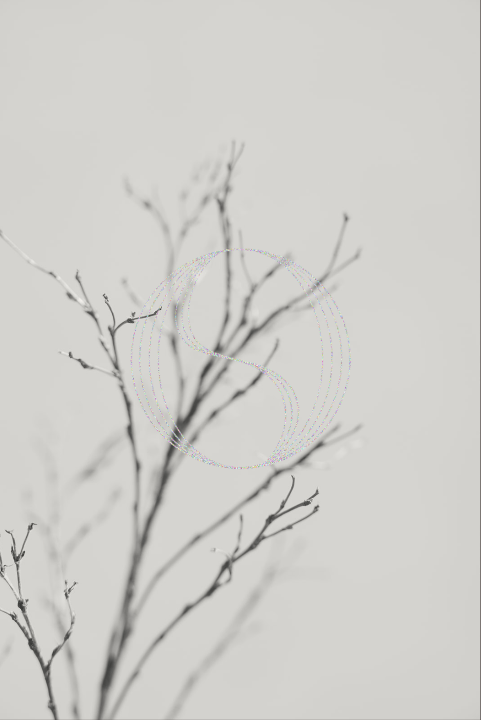 A black and white photo of a leafless tree branch with a plain background.