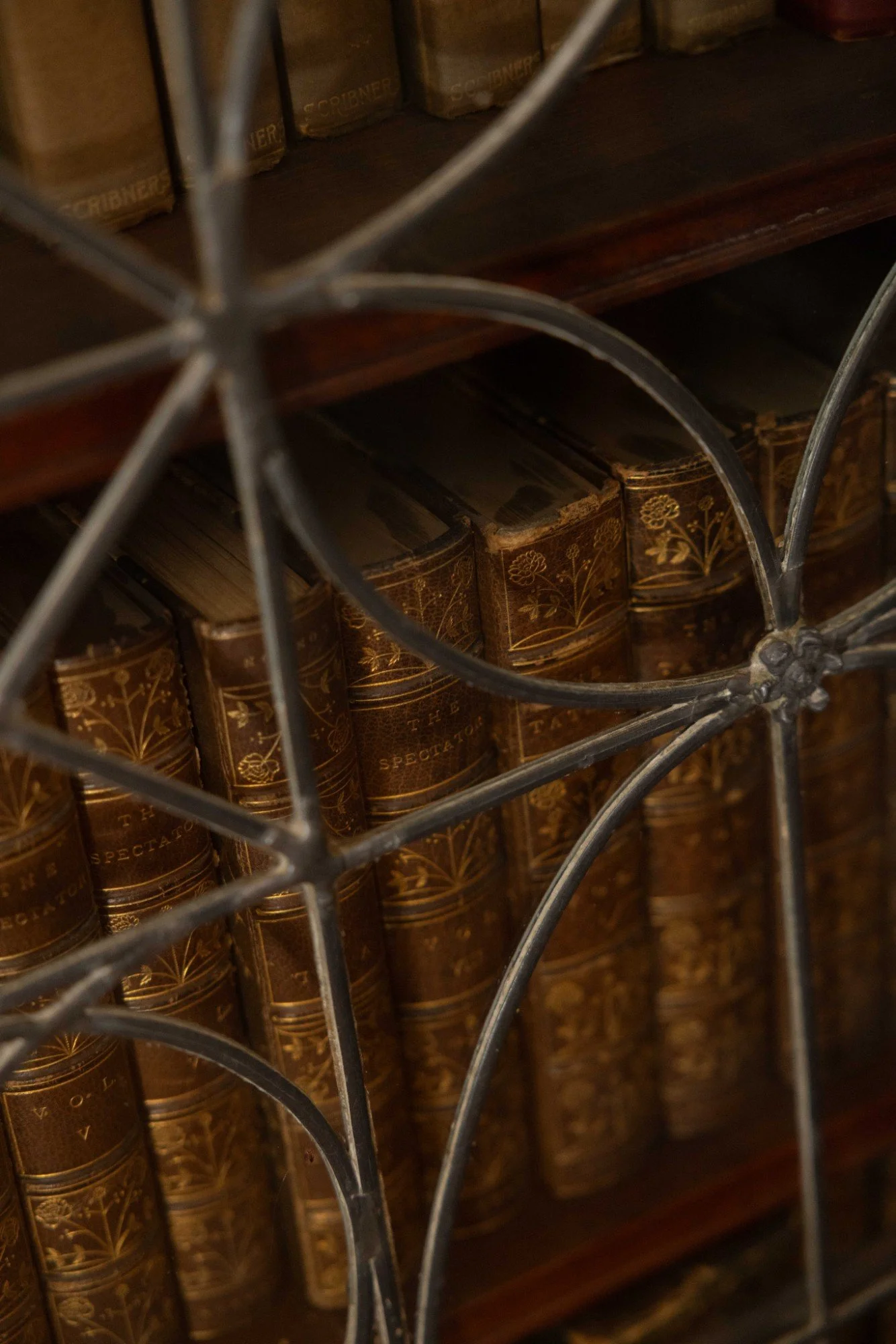 View through a metal wine rack showing old leather-bound books with gold floral patterns on a dark wooden shelf.