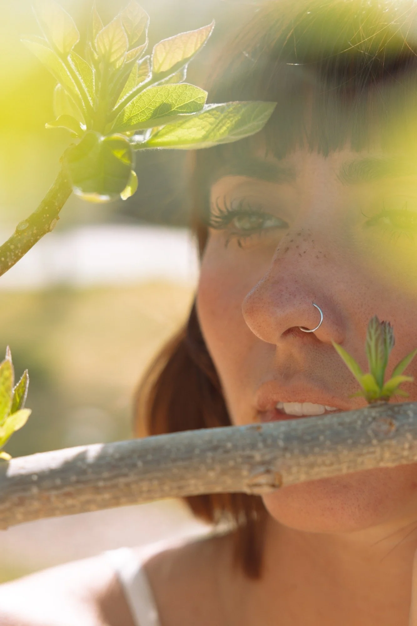 Close-up of a young woman with dark hair and freckles looking through a wooden slat with a houseplant and green leaves in the foreground, sunlight filtering through.