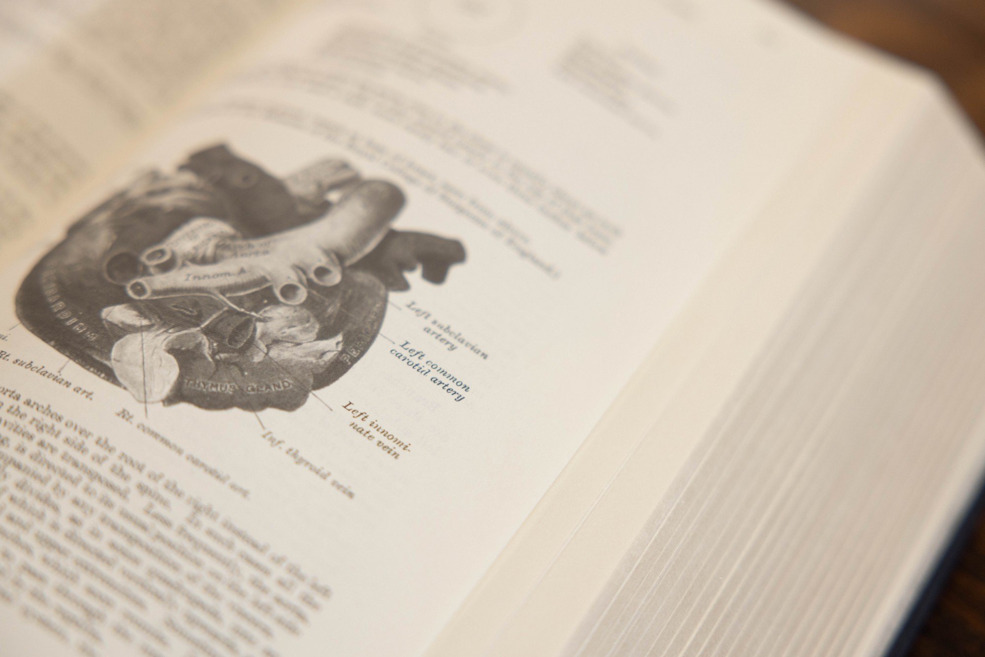 A book open to a page with a biomedical illustration of a human heart, labeled with parts and medical terms.
