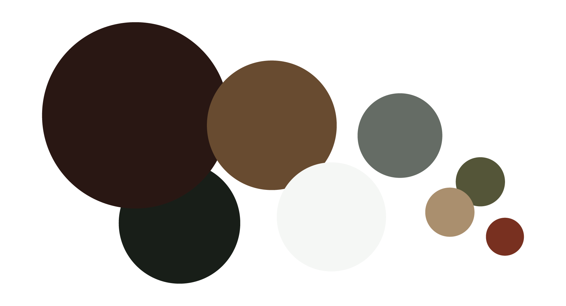 Various colored circles overlapping on a black background.
