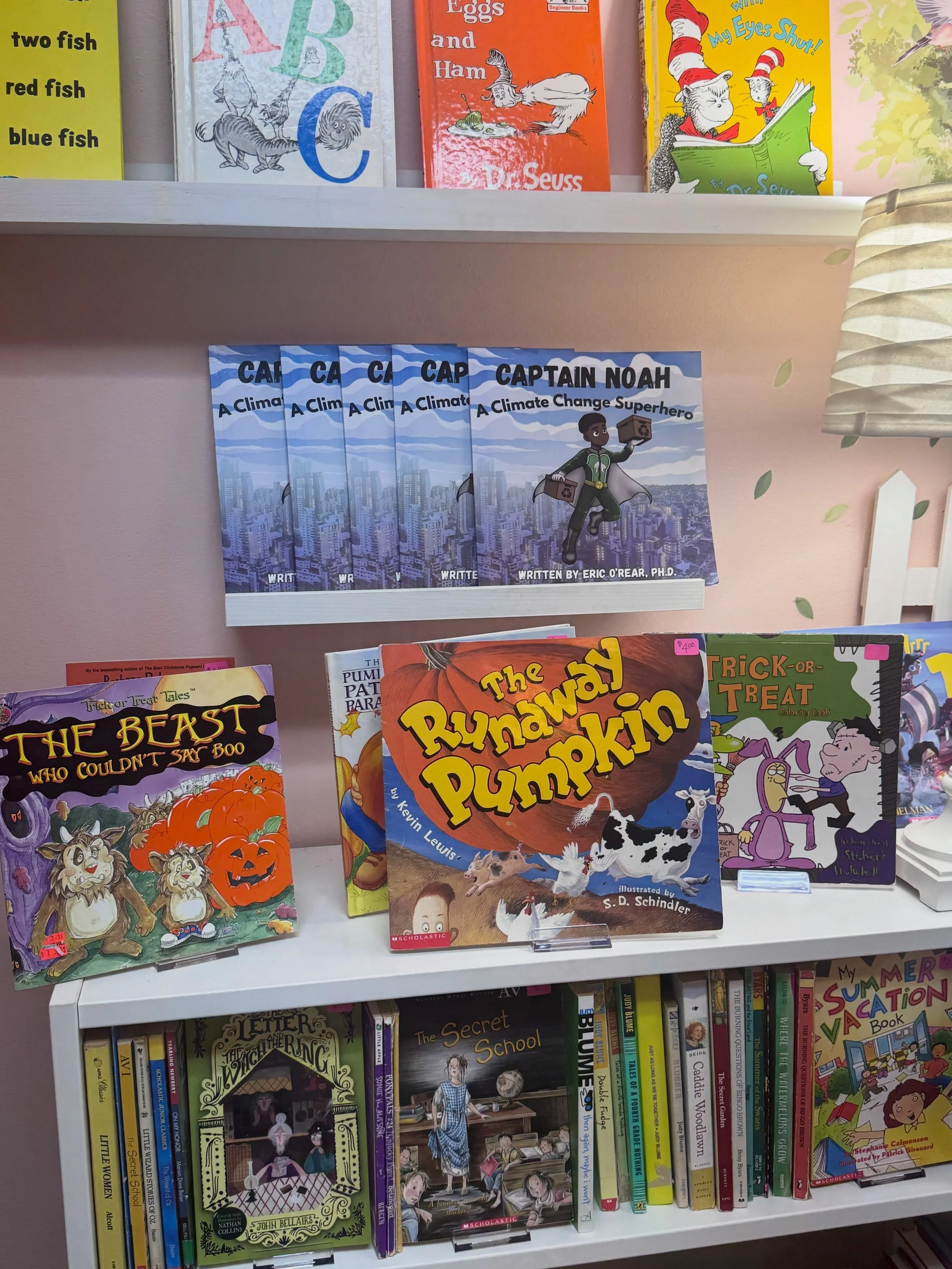Major Announcement: &ldquo;Captain Noah: A Climate Change Superhero,&rdquo; is officially available at BookLOVE bookstore in Jamestown, North Carolina!! #ClimateChangeFighters #CaptainNoah #UpUpAndAway