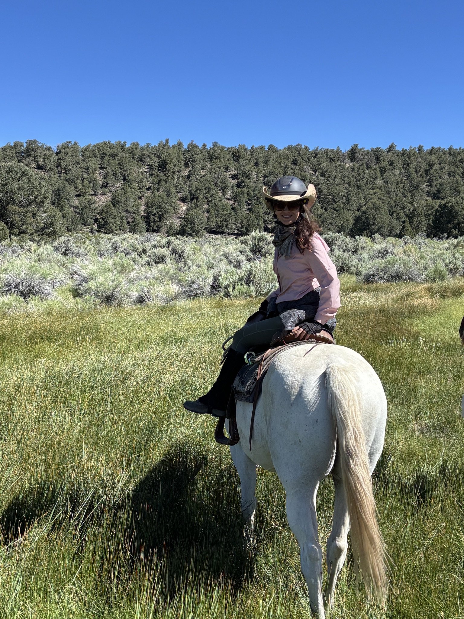 Guest on Equine Retreat in California