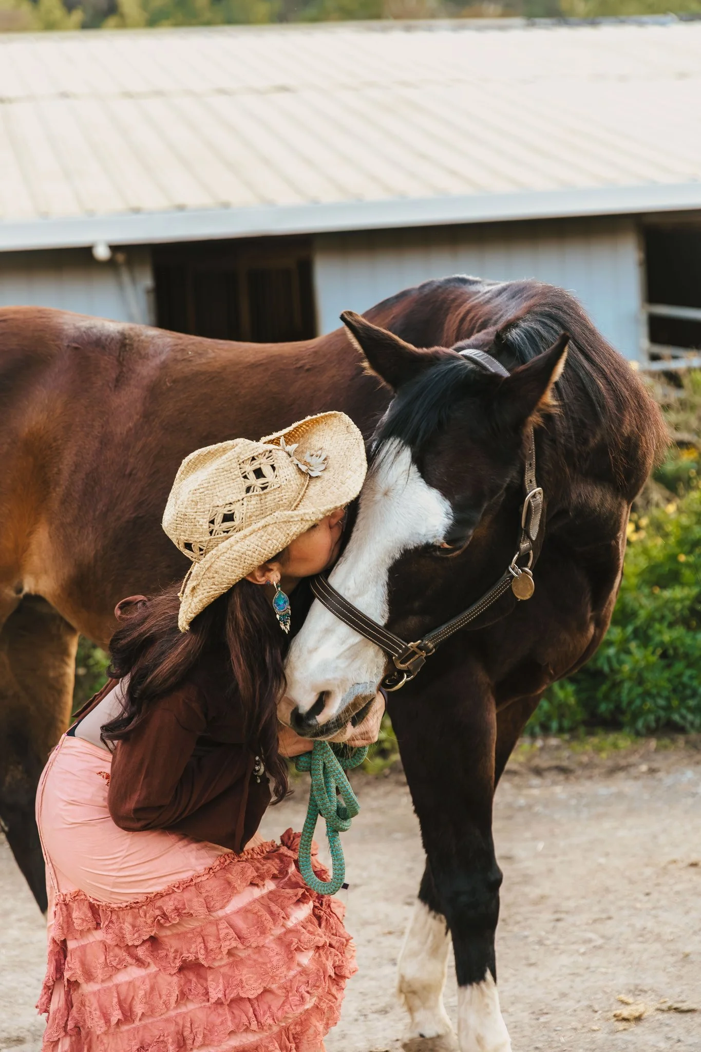 Equine Coach With Horse