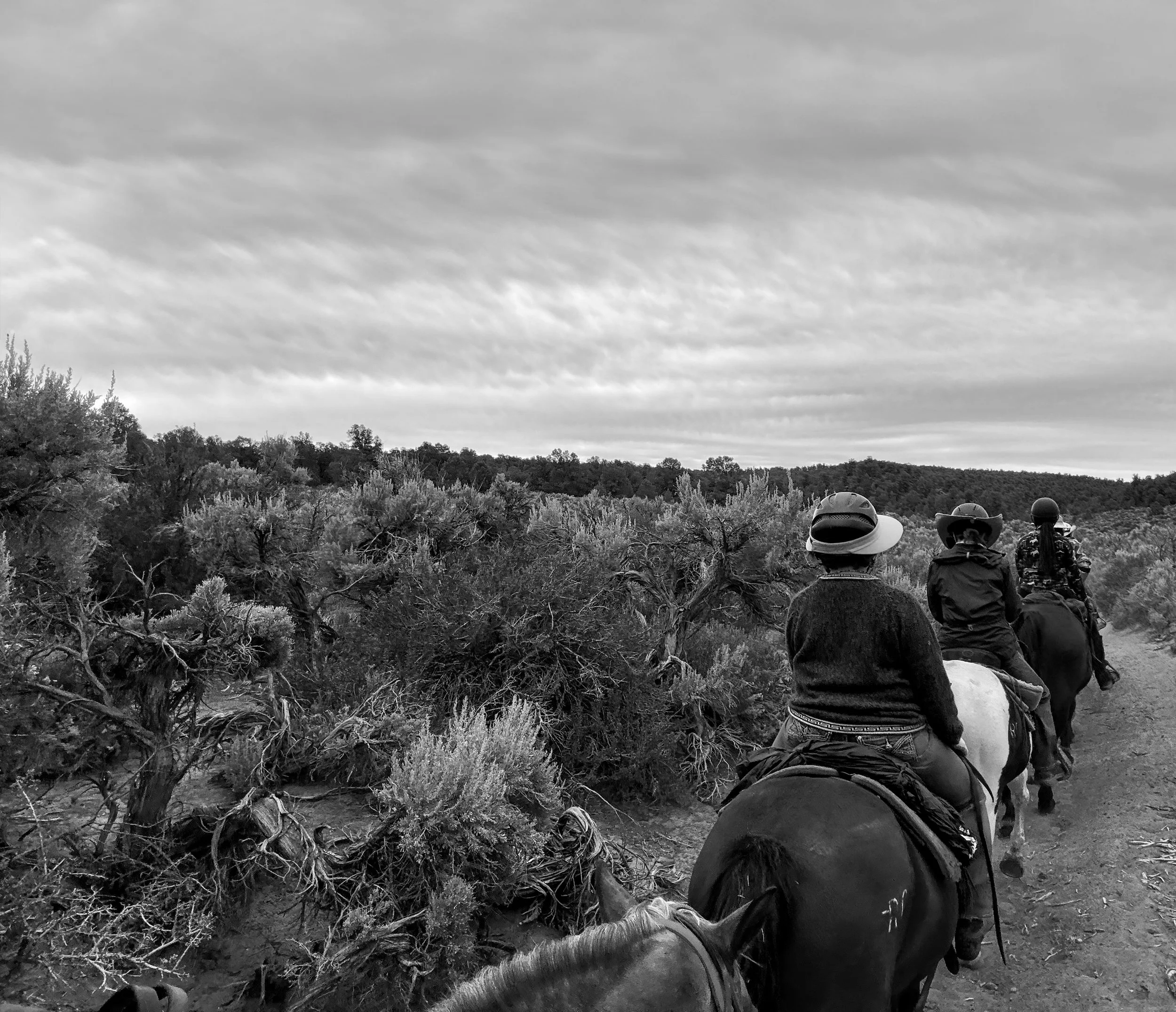 Women on Horses during Equine Retreat