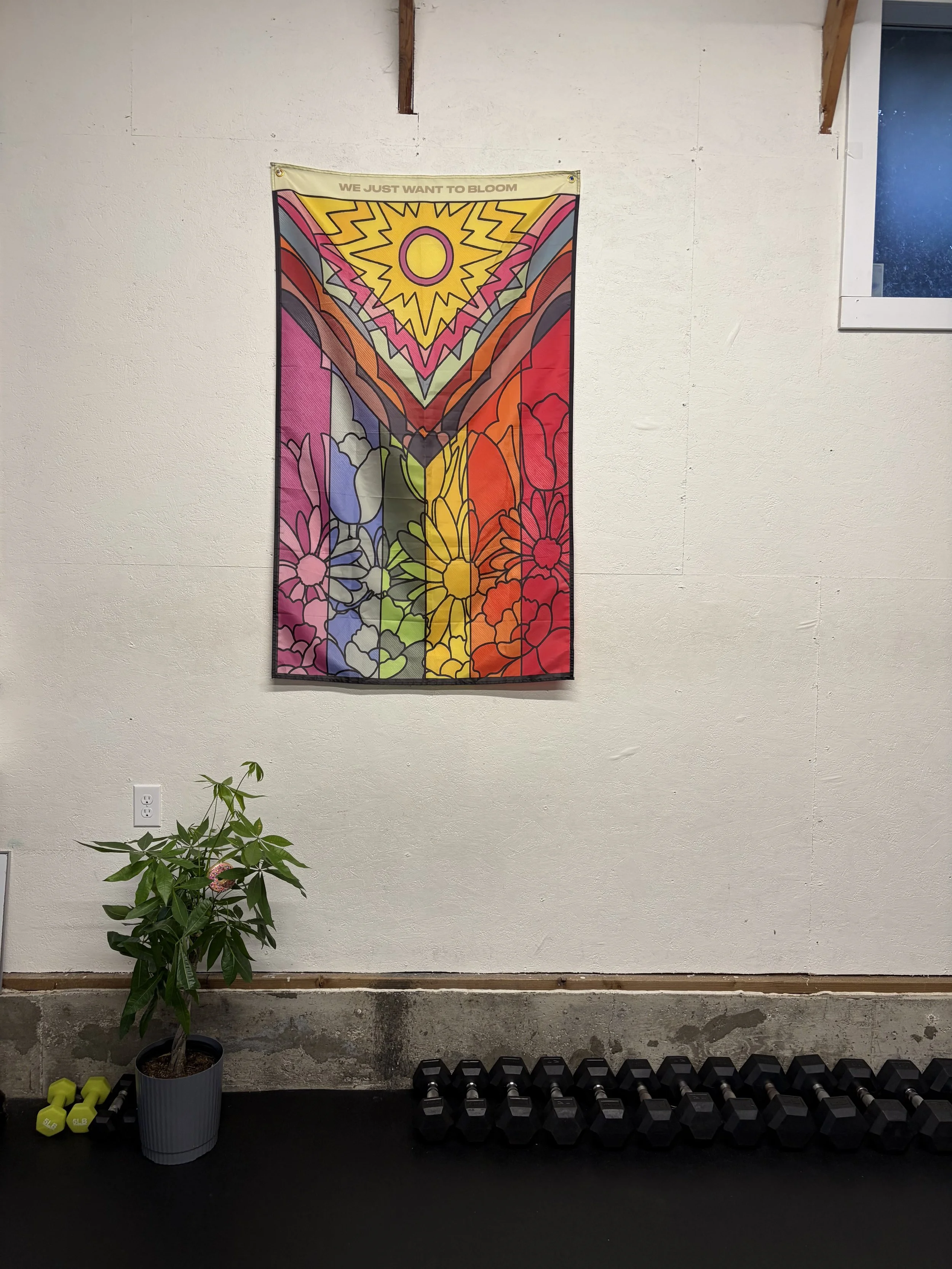Indoor fitness area with a wall decoration, a potted plant, dumbbells, and a window.
