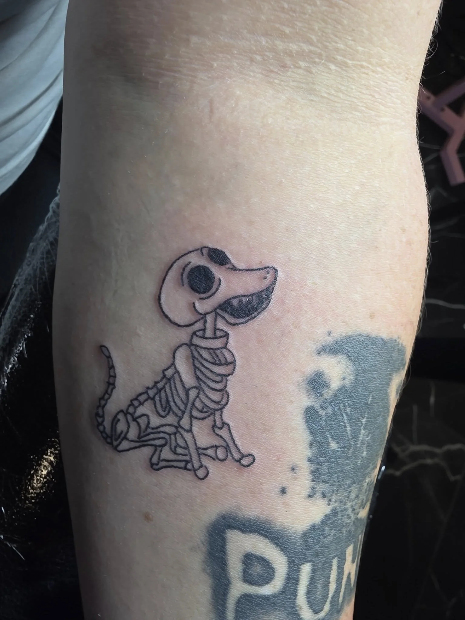 Close-up of a person's arm with a black ink tattoo of a cartoon dog skeleton and a word partially visible, with skin showing some natural texture.
