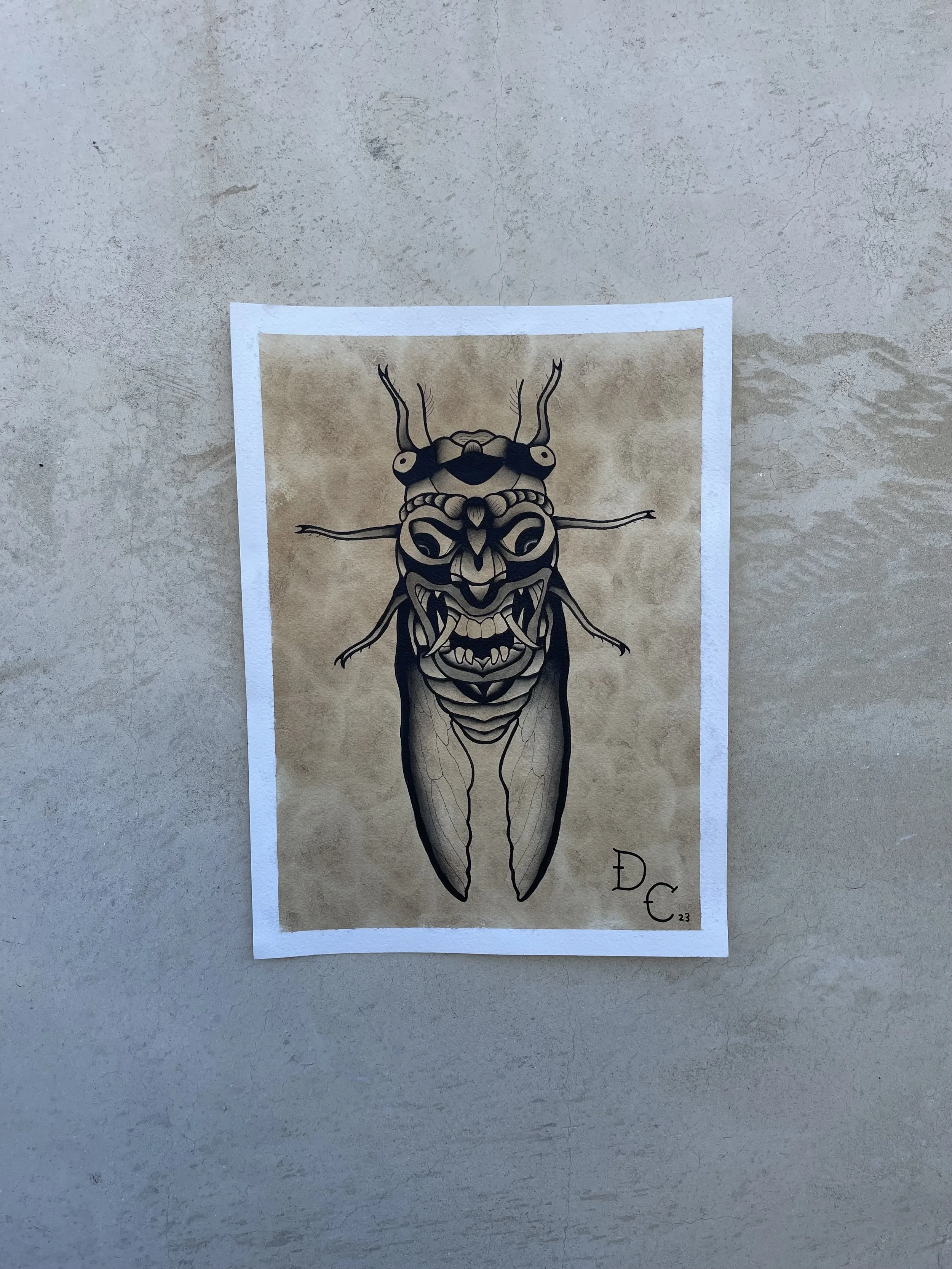 A detailed black line drawing of a Cicada insect on a beige background with a white border. The drawing emphasizes the insect's head, wings, and body structure with lower case text 'd' and 'c' at the bottom right corner.