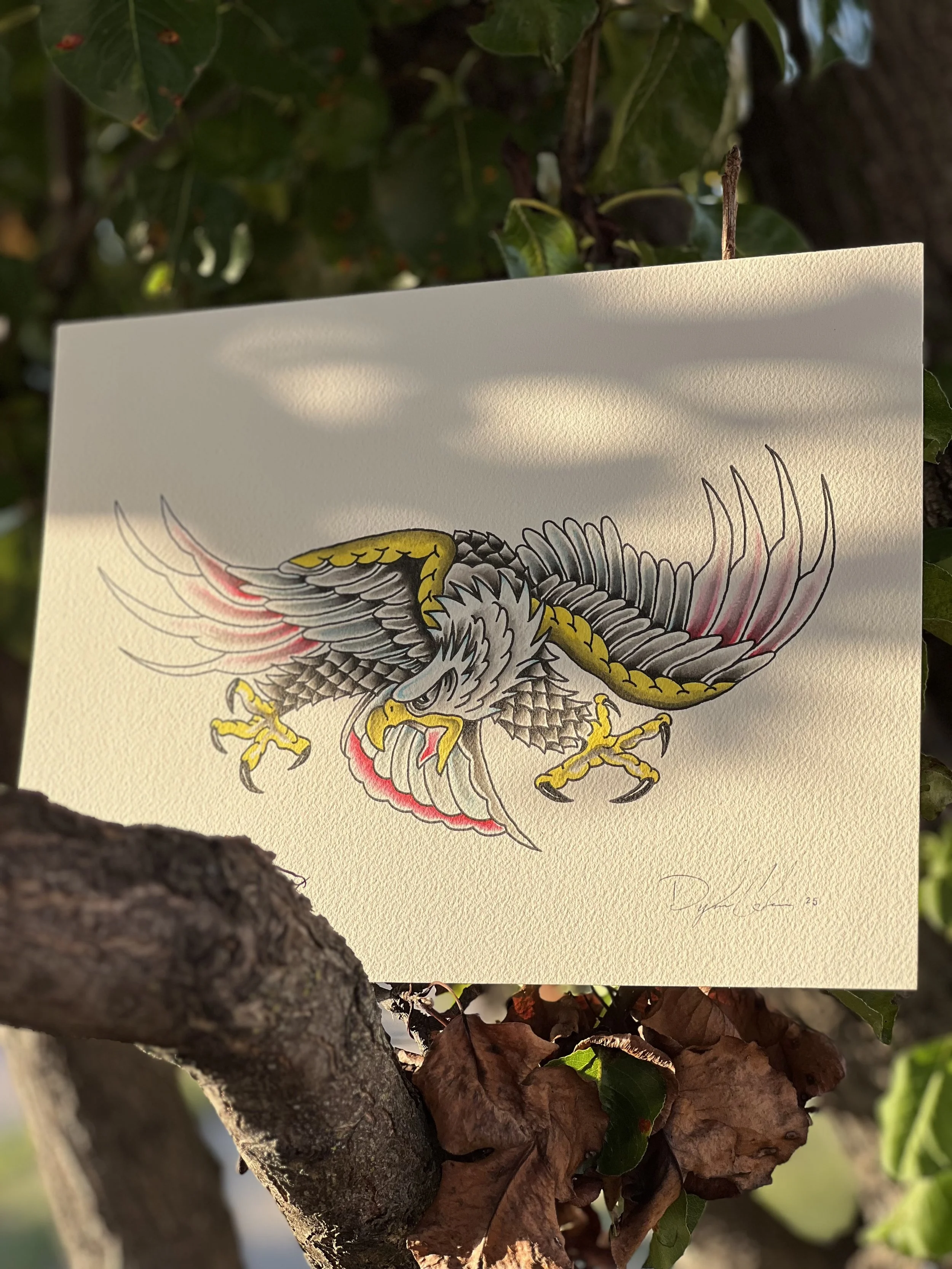 A drawing of an eagle is taped to a tree branch among green and brown leaves.