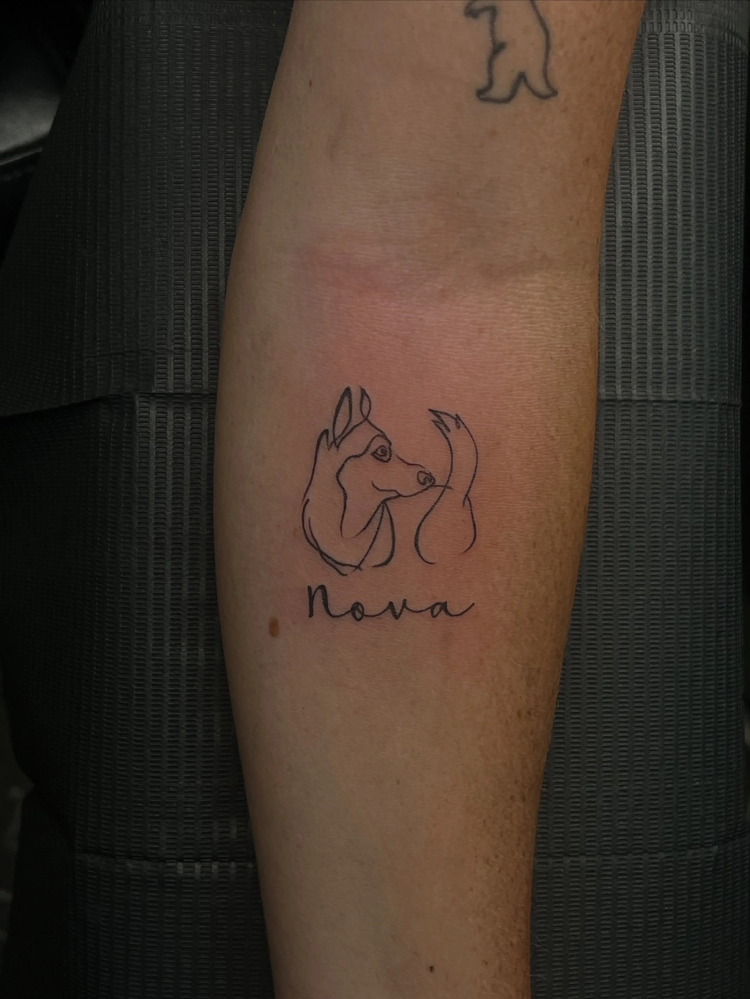 Tattoo of a unicorn with a flowing mane and tail on person's arm, with cursive text reading 'nava' beneath it.